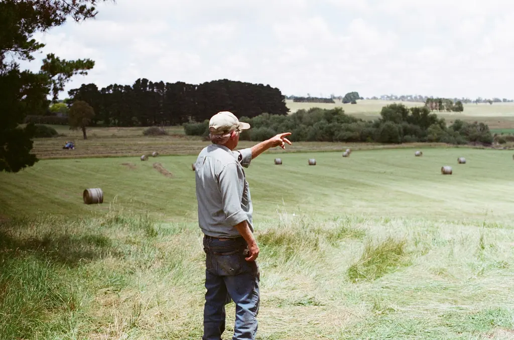 A farmer pointing across a paddock with hay bales