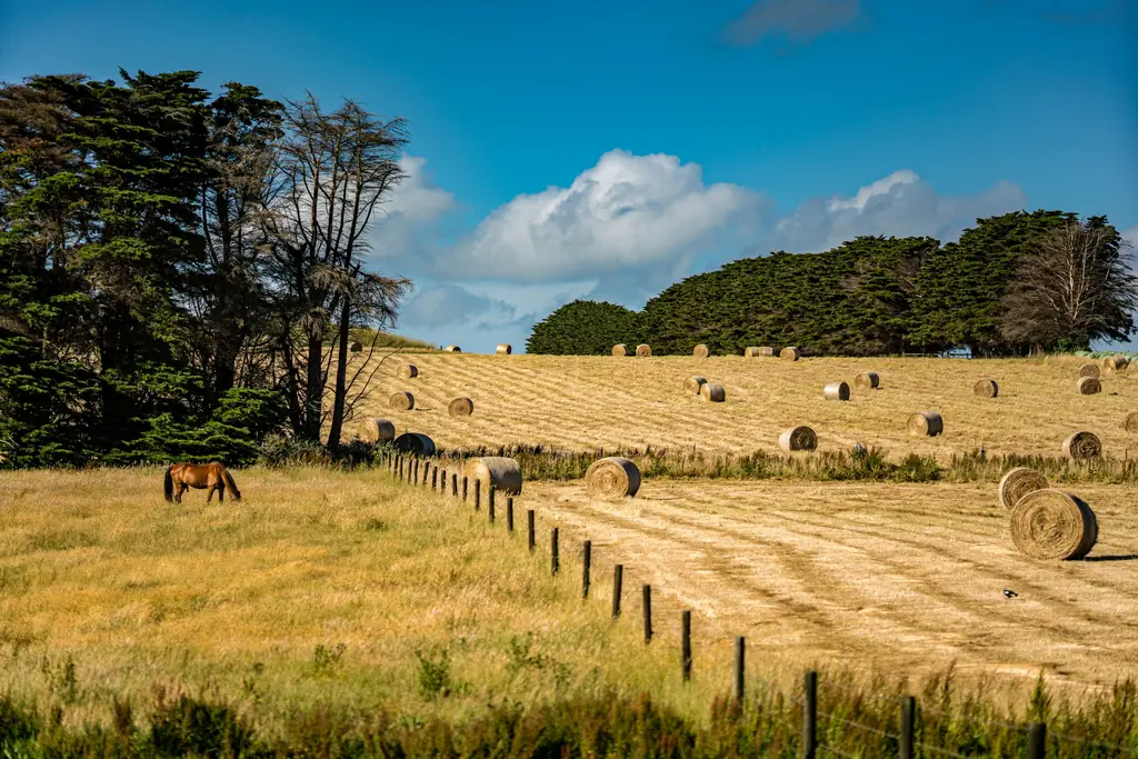 Hay bales in a fenced paddock with a horse grazing