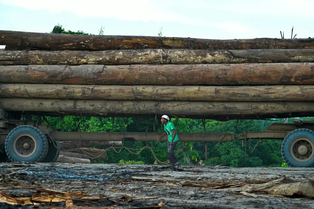 A truck loaded with logs
