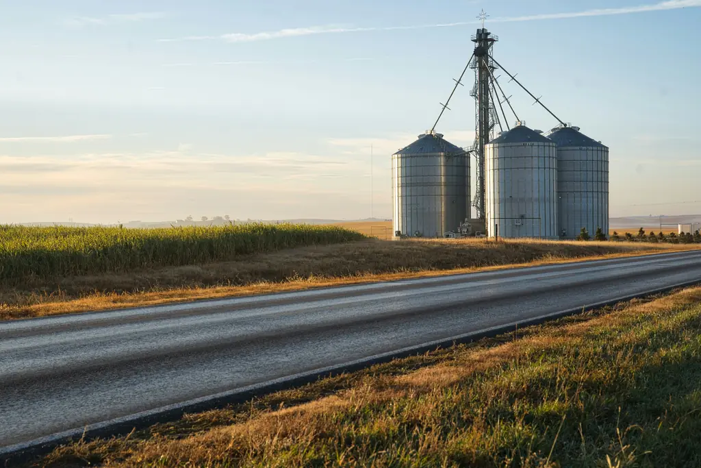 Grain silos beside a country road