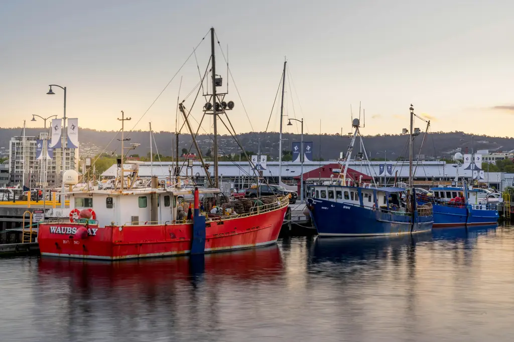 Fishing trawlers moored in a harbour